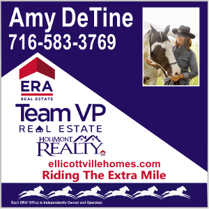 Amy DeTine Team VP Real Estate and Holimont Realty